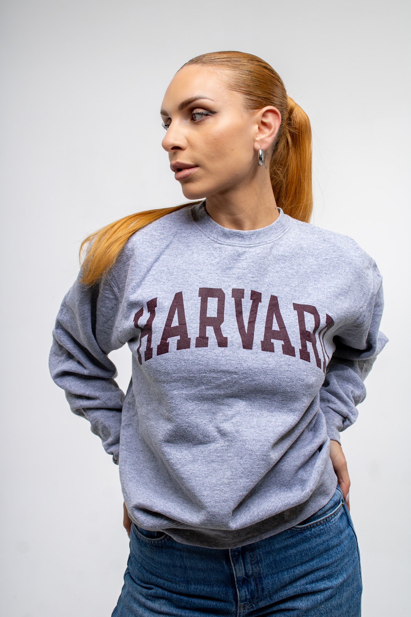 Harvard University Champion Sweatshirt