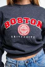 Champion University Sweatshirt