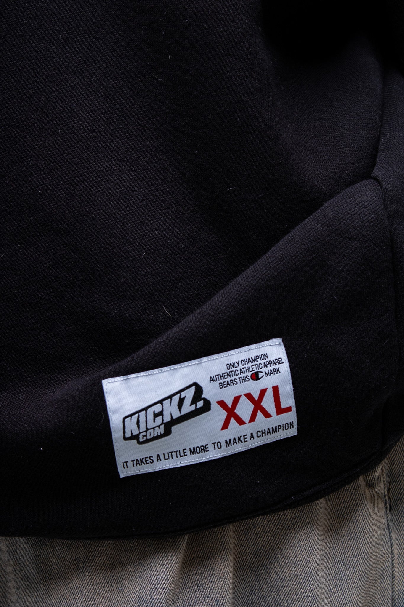 Champion Sweatshirt
