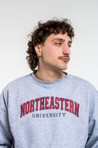 Champion University Sweatshirt