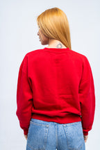 Jordan Sweatshirt