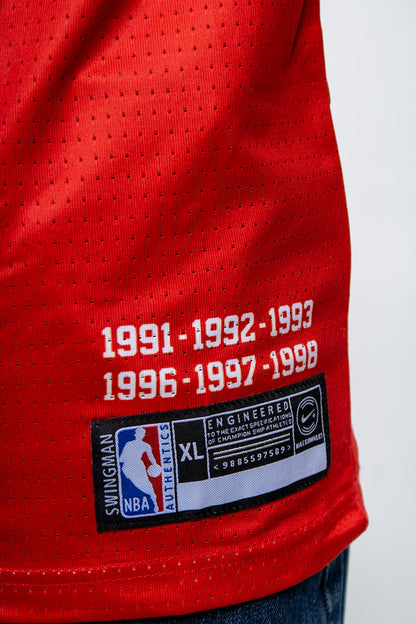 Nike Bulls Jersey