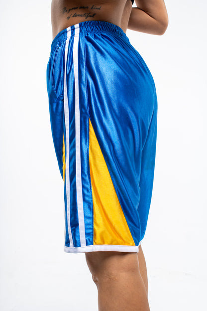 NBA Basketball Shorts