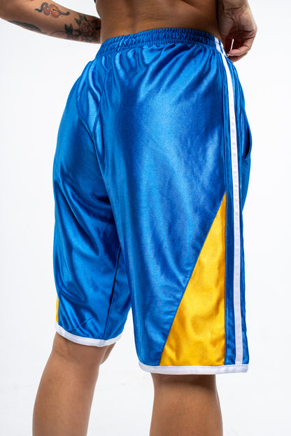 NBA Basketball Shorts