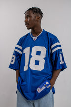 NFL Indianapolis Colts Jersey Reebok